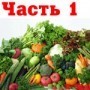 Сыроедение. Часть 1 Сыроедение. Часть 1