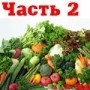 Сыроедение. Часть 2 Сыроедение. Часть 2