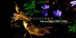 Школа здоровья